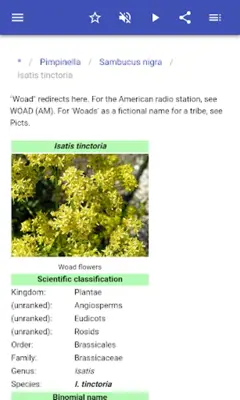 Honey plant android App screenshot 11