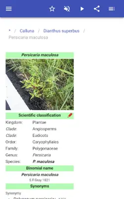 Honey plant android App screenshot 6